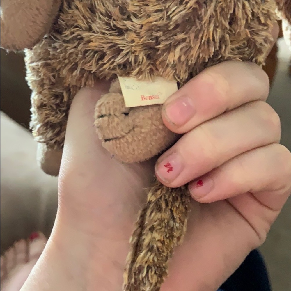 Bonsai - Picture 4 of 6